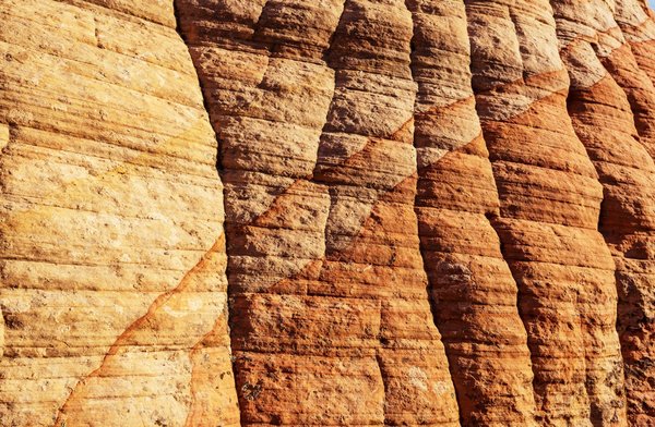 Ce qu'il faut savoir sur la formation en management