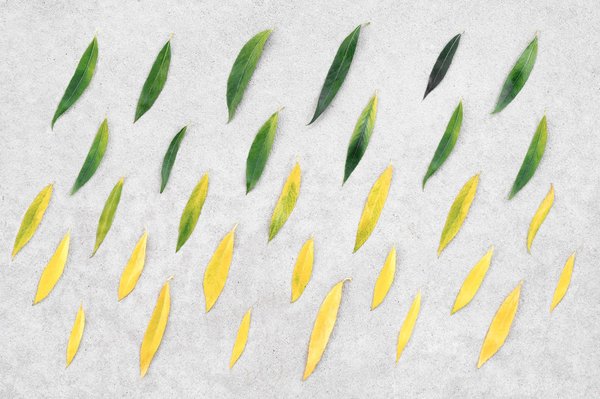 Changer de fournisseur de gaz : quelles sont les démarches à suivre ?